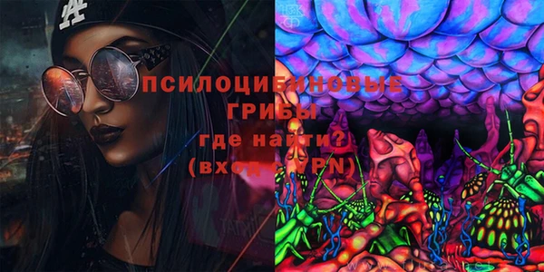 индика Алексеевка