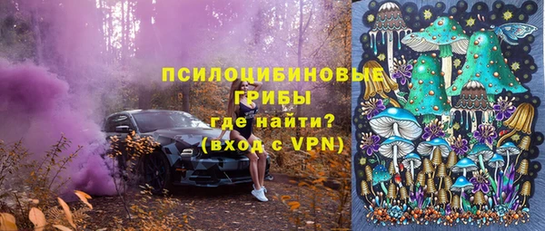ешки Алзамай